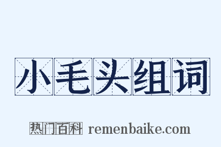 小毛头组词是什么意思的图片